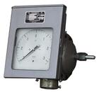 双波纹管差压计CWD-282