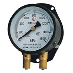 YZS-102双针压力表