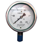YT系列特种压力表